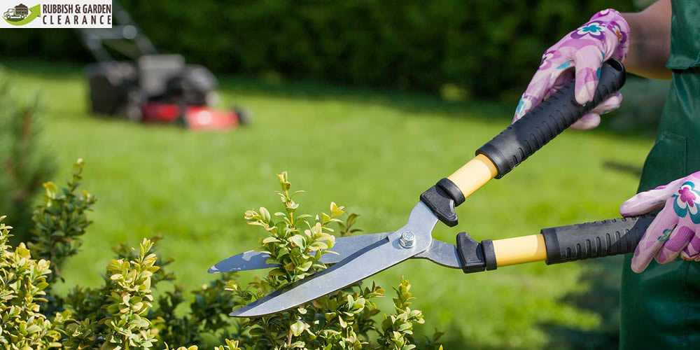 Importance of Garden Clearances & Using a Specialist Garden Clearance Company in Sutton