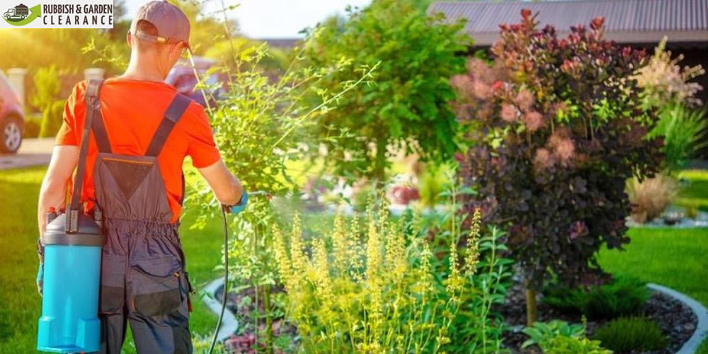 Important Concerns When Selecting an Expert Garden Clearance in Sutton